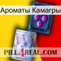 Ароматы Камагры 37